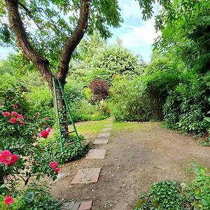 Rez De Jardin De Maison Avec Grand Jardin Exclusif Appartement